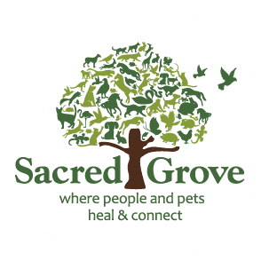 Sacred Grove Training
